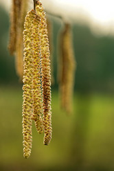 Similar image 8015273