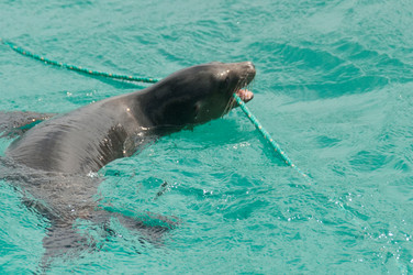 Similar image 8015279