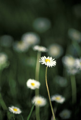 Similar image 8015282