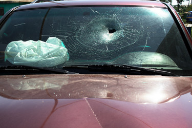 Similar image 8015287