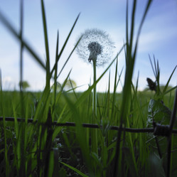 Similar image 8015294