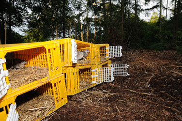 Similar image 8015296