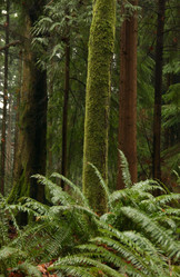 Similar image 8015297