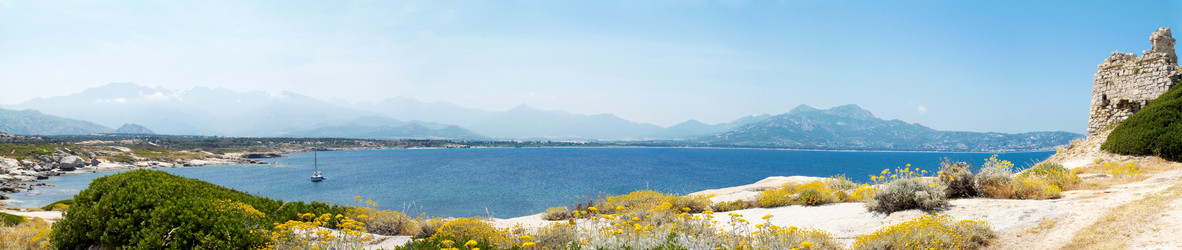 Similar image 8015308