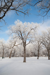 Similar image 8015309