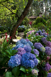 Similar image 8015313