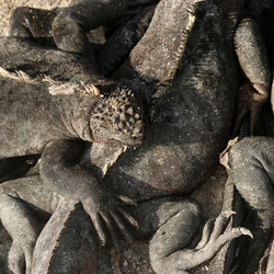 Similar image 8015322