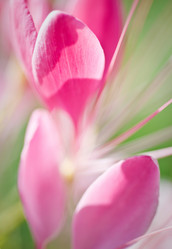 Similar image 8015324