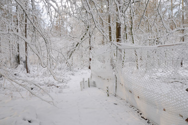 Similar image 8015329