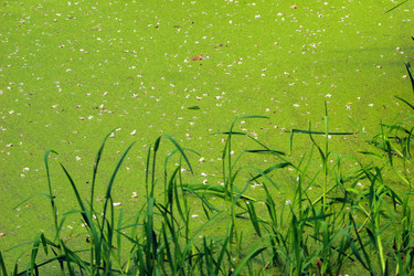 Similar image 8015337