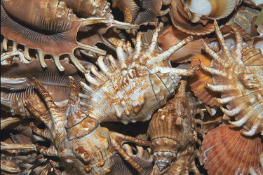 Similar image 8015338