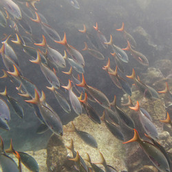 Similar image 8015340