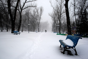 Similar image 8015353