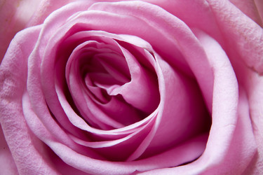 Similar image 8015356