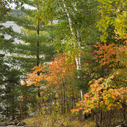 Similar image 8015361