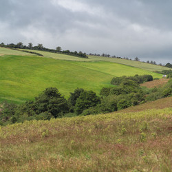 Similar image 8015363