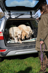 Similar image 8015369