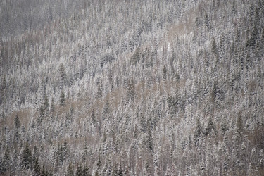 Similar image 8015373