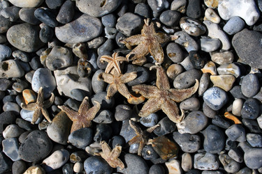 Similar image 8015383