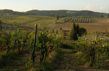 Similar image 8015385