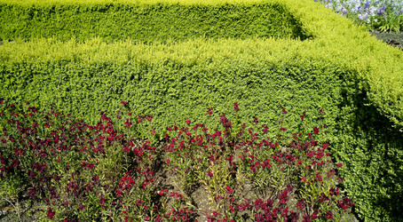 Similar image 8015386