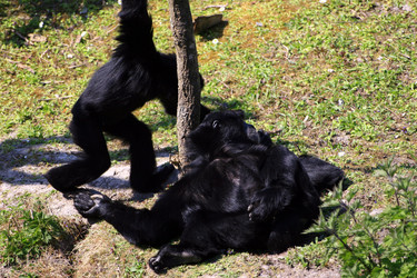 Similar image 8015393