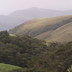 Similar image 8015395