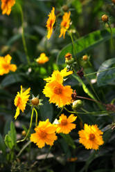 Similar image 8015398