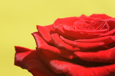 Similar image 8015403