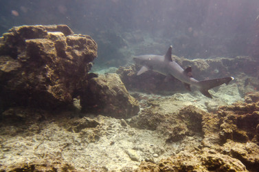 Similar image 8015414