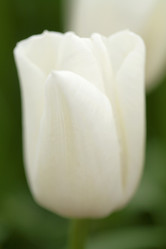 Similar image 8015416