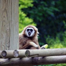 Similar image 8015423