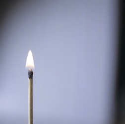 Similar image 8015428