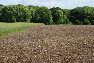 Similar image 8015430