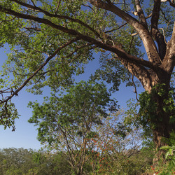 Similar image 8015432