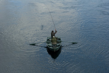 Similar image 8015435