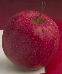 Similar image 8015442