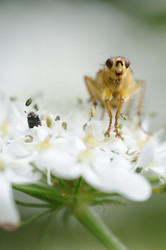 Similar image 8015443