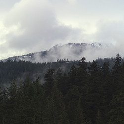 Similar image 8015446