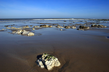 Similar image 8015450