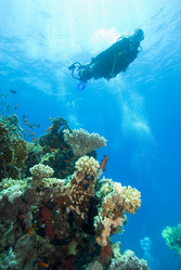 Similar image 8015455