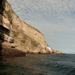 Similar image 8015461