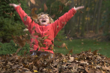 Similar image 8015471