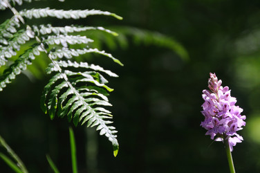 Similar image 8015472