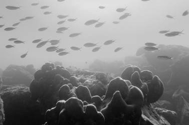 Similar image 8015480