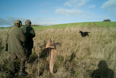 Similar image 8015486