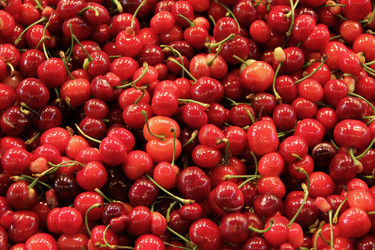 Similar image 8015489