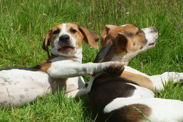 Similar image 8015490