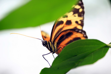 Similar image 8015491