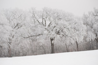 Similar image 8015518